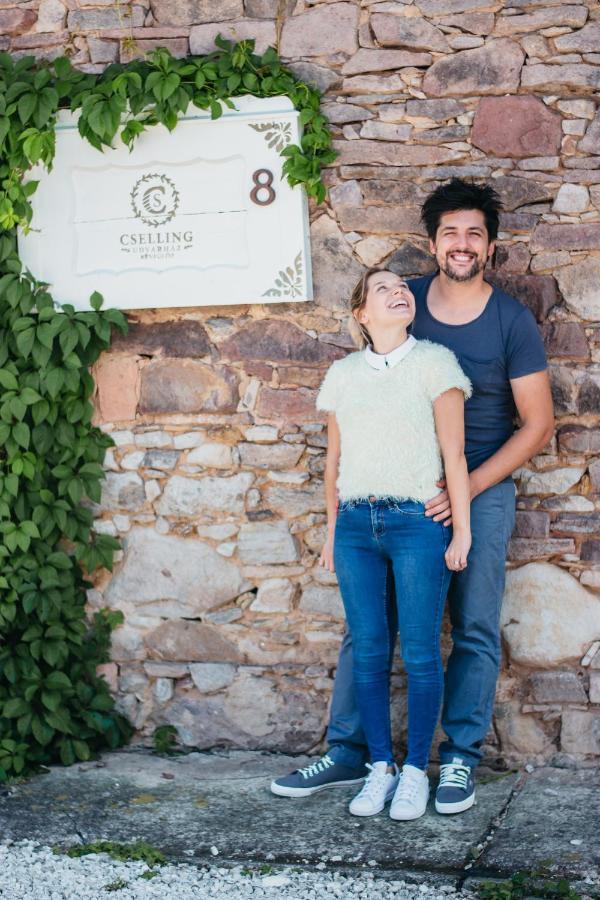 Cselling Udvarhaz Révfülöp Dış mekan fotoğraf