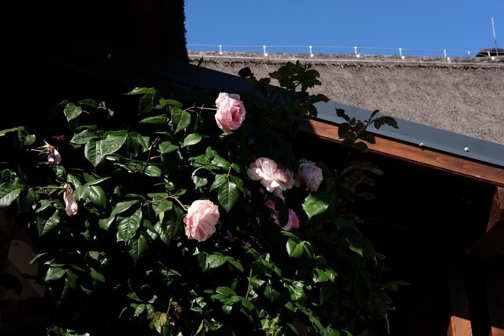Cselling Udvarhaz Révfülöp Dış mekan fotoğraf